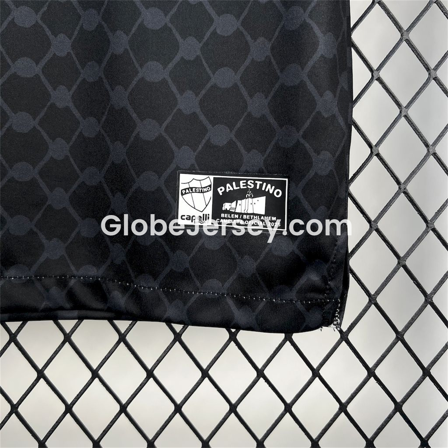 GlobeJersey-Club Deportivo Palestino 25-26 Away Jersey - Fans Version