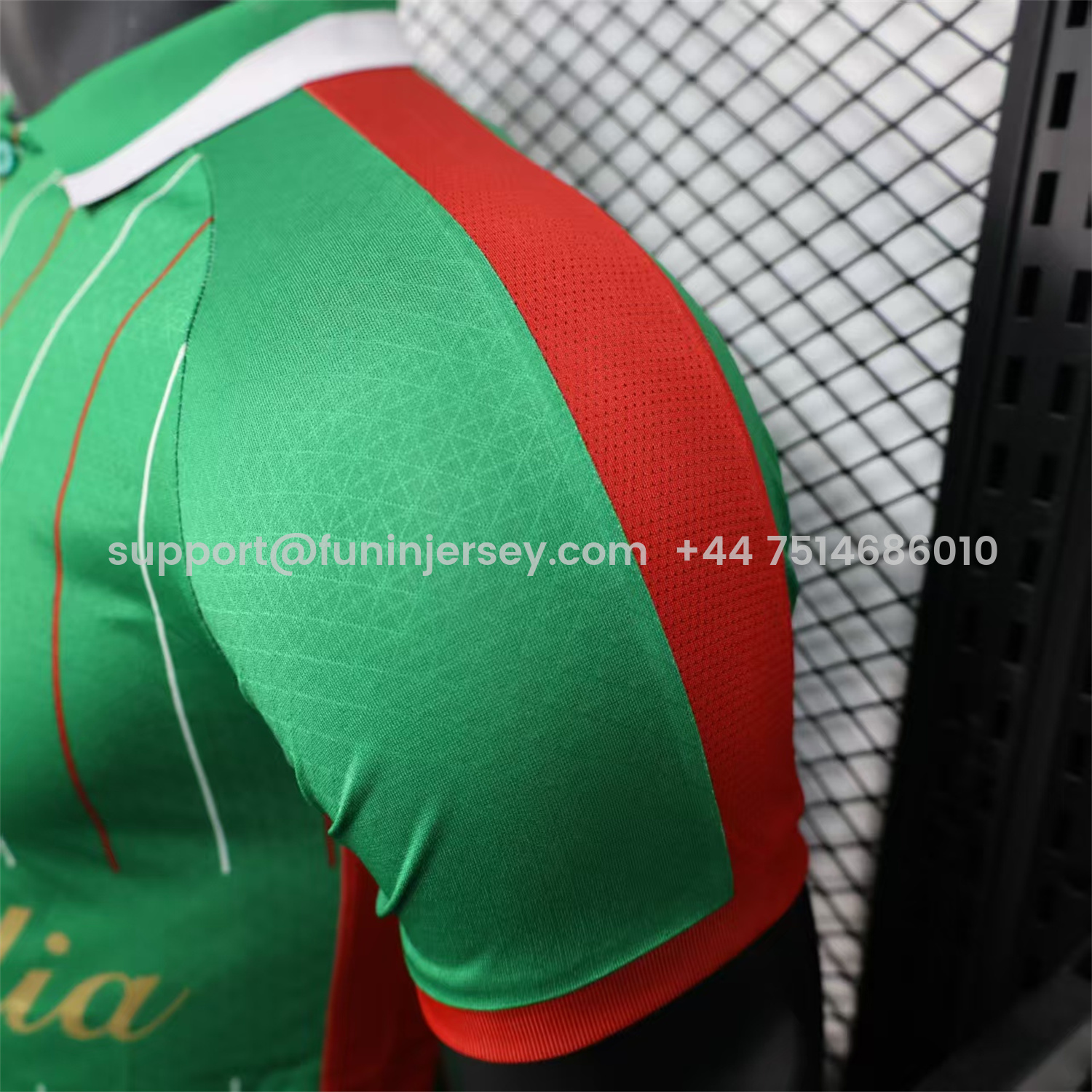 Funinjersey-Club Deportivo Palestino Palestine 25-26 Green Special Jersey - Player Version