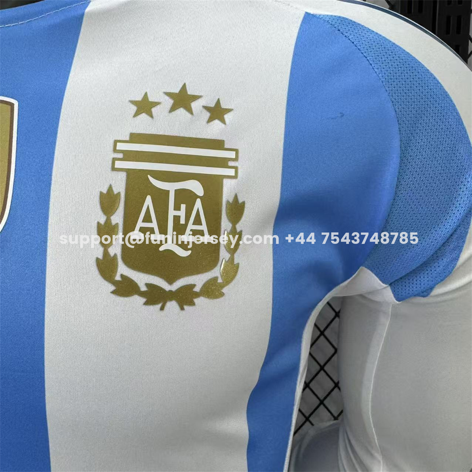 Funinjersey-Argentina 2024 Home Long Sleeves Jersey - Player Version