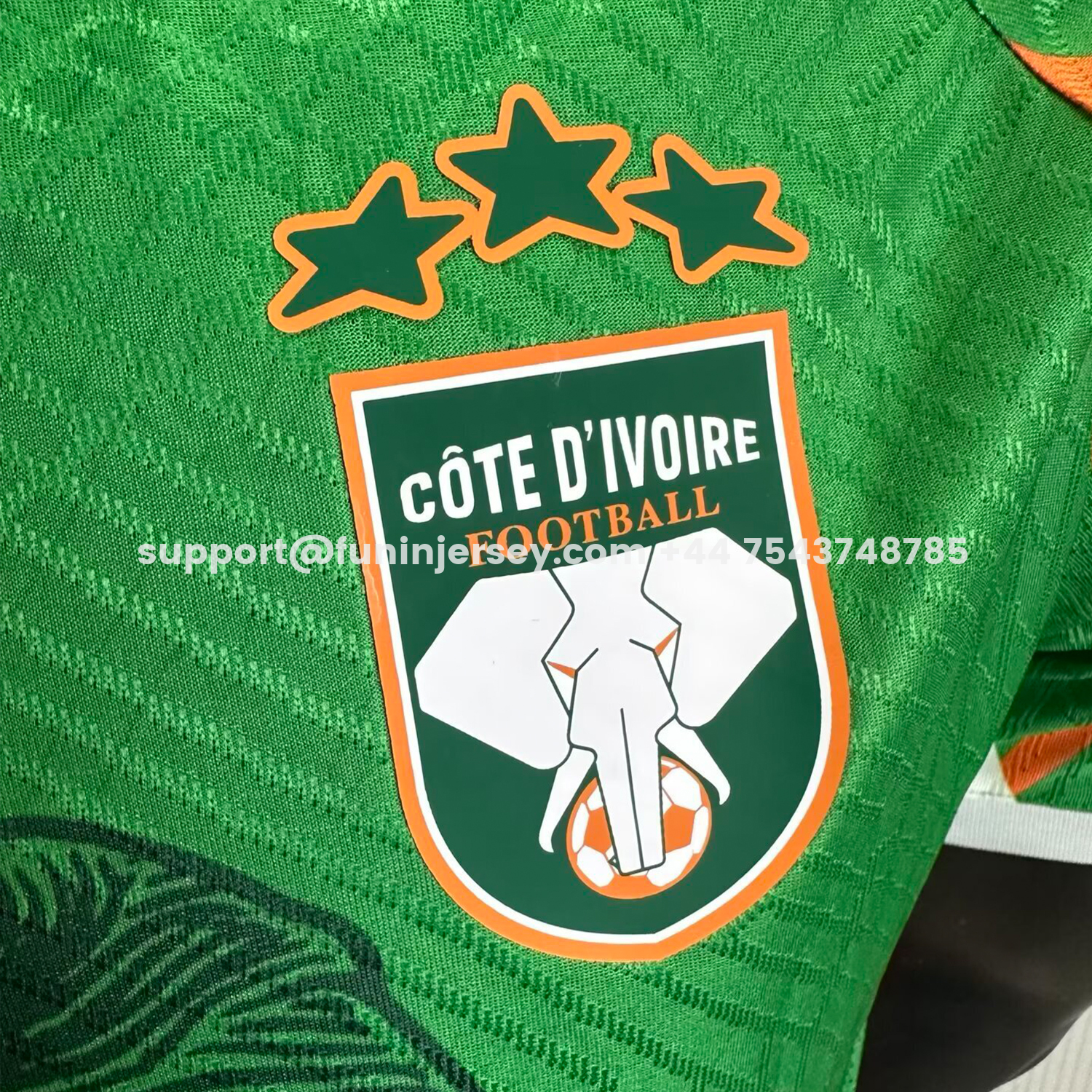 Funinjersey-Ivory Coast 25-26 Elephant And Kid Green Jersey - Player Version