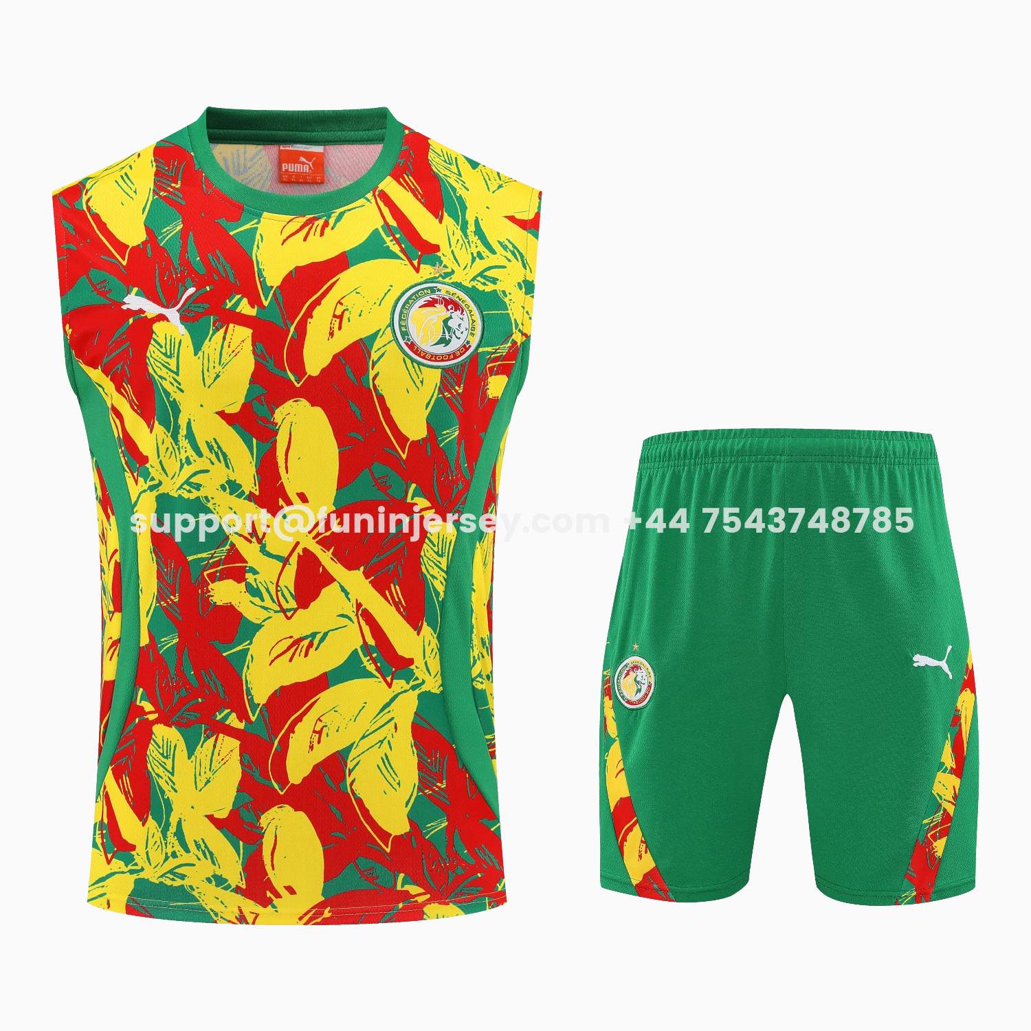 Funinjersey-Senegal 2026 Vest Training Set - Variegated Vest and Green Shorts