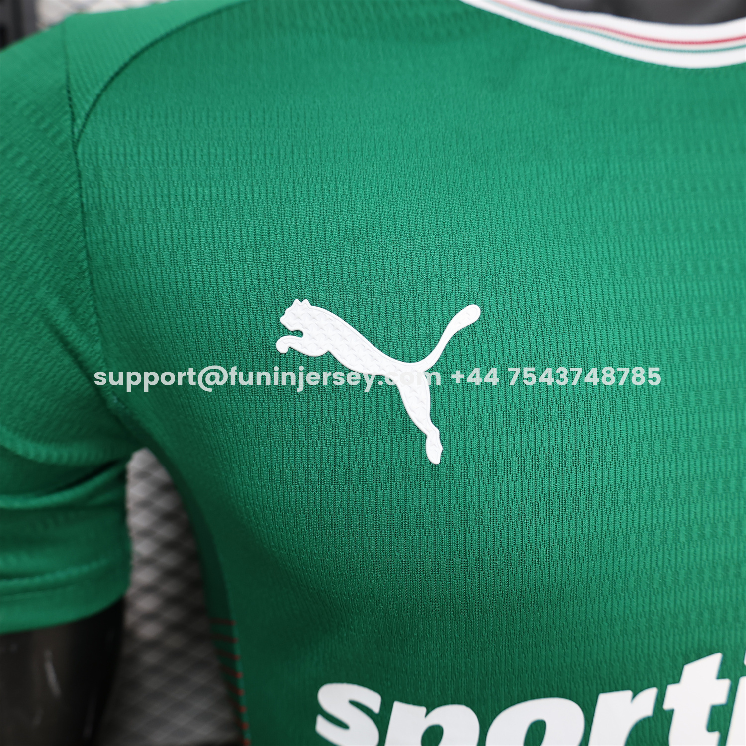 Funinjersey-Palmeiras 26-27 Home Green Jersey - Player Version