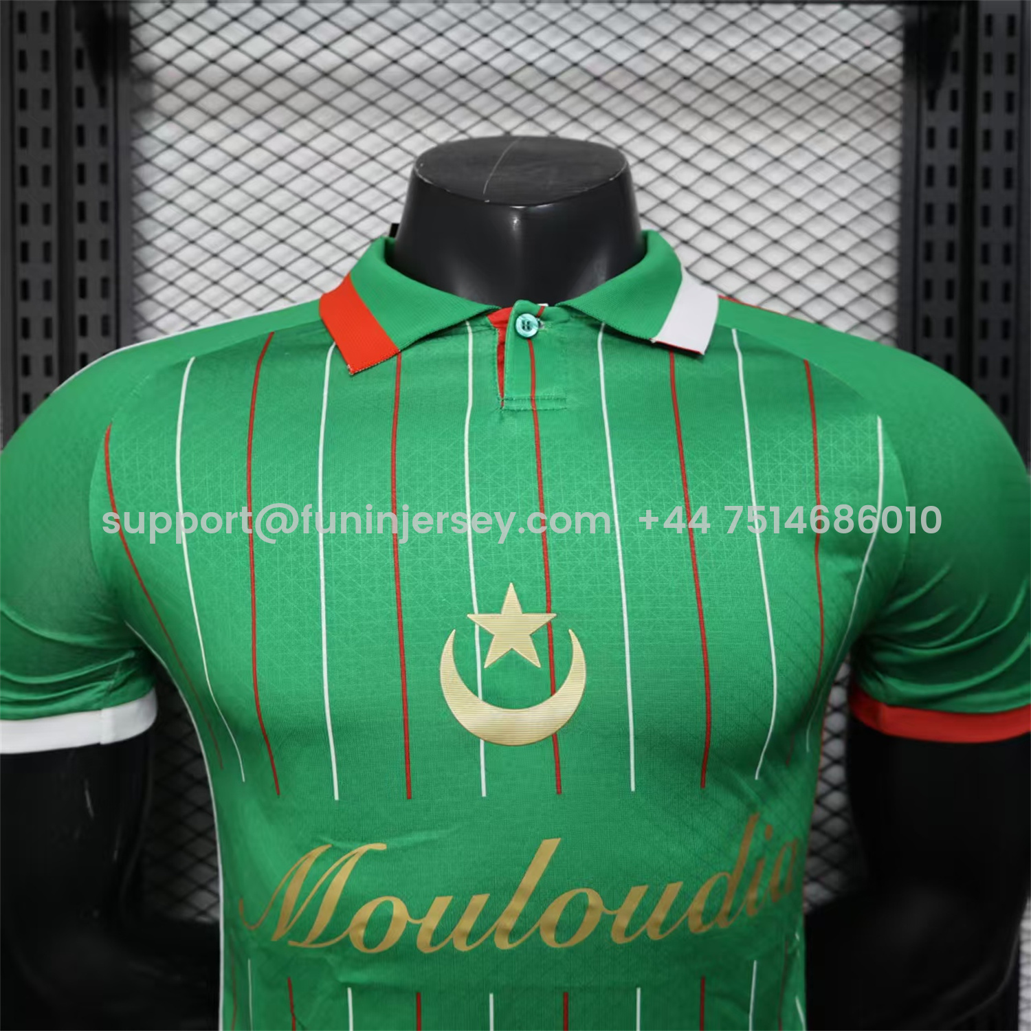 Funinjersey-Club Deportivo Palestino Palestine 25-26 Green Special Jersey - Player Version