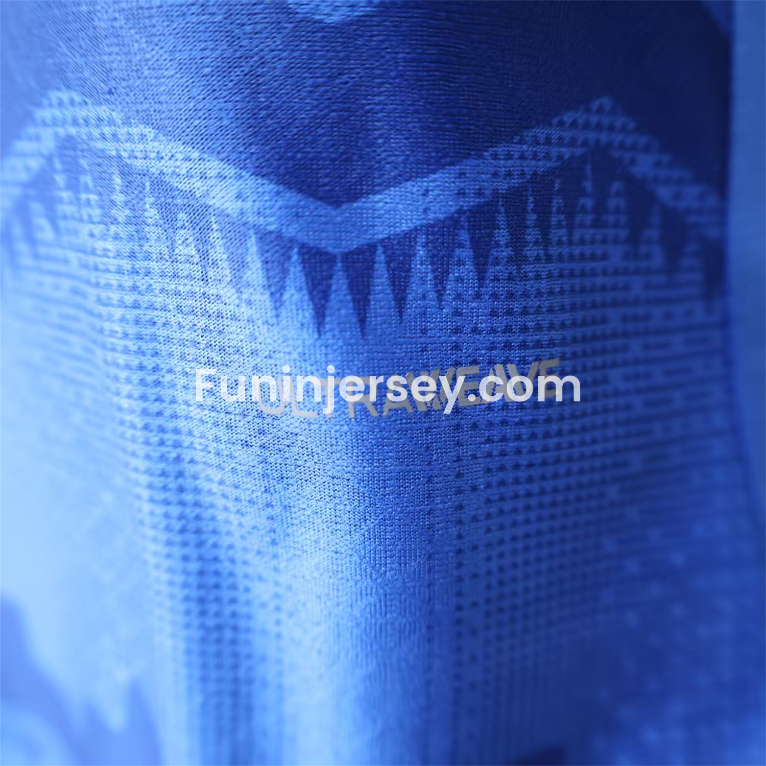 Funinjersey-Al Hilal Riyadh Crescent 25-26 Club Home Jersey - Player Version