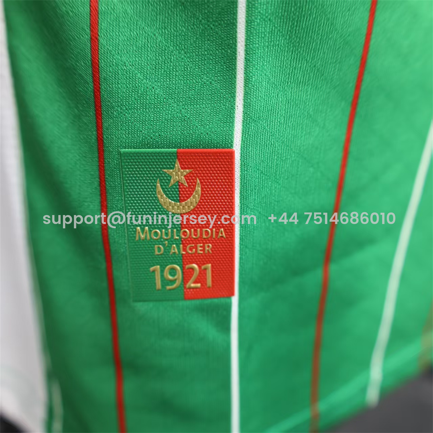 Funinjersey-Club Deportivo Palestino Palestine 25-26 Green Special Jersey - Player Version