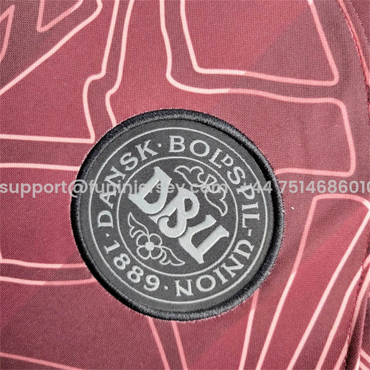 Funinjersey-Denmark x Halo 2024 Special Edition Jersey - Fans Version