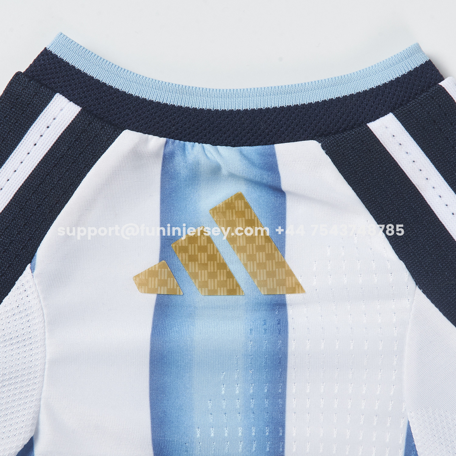 Funinjersey-Argentina 2026 Home Pet Jersey - Player Version
