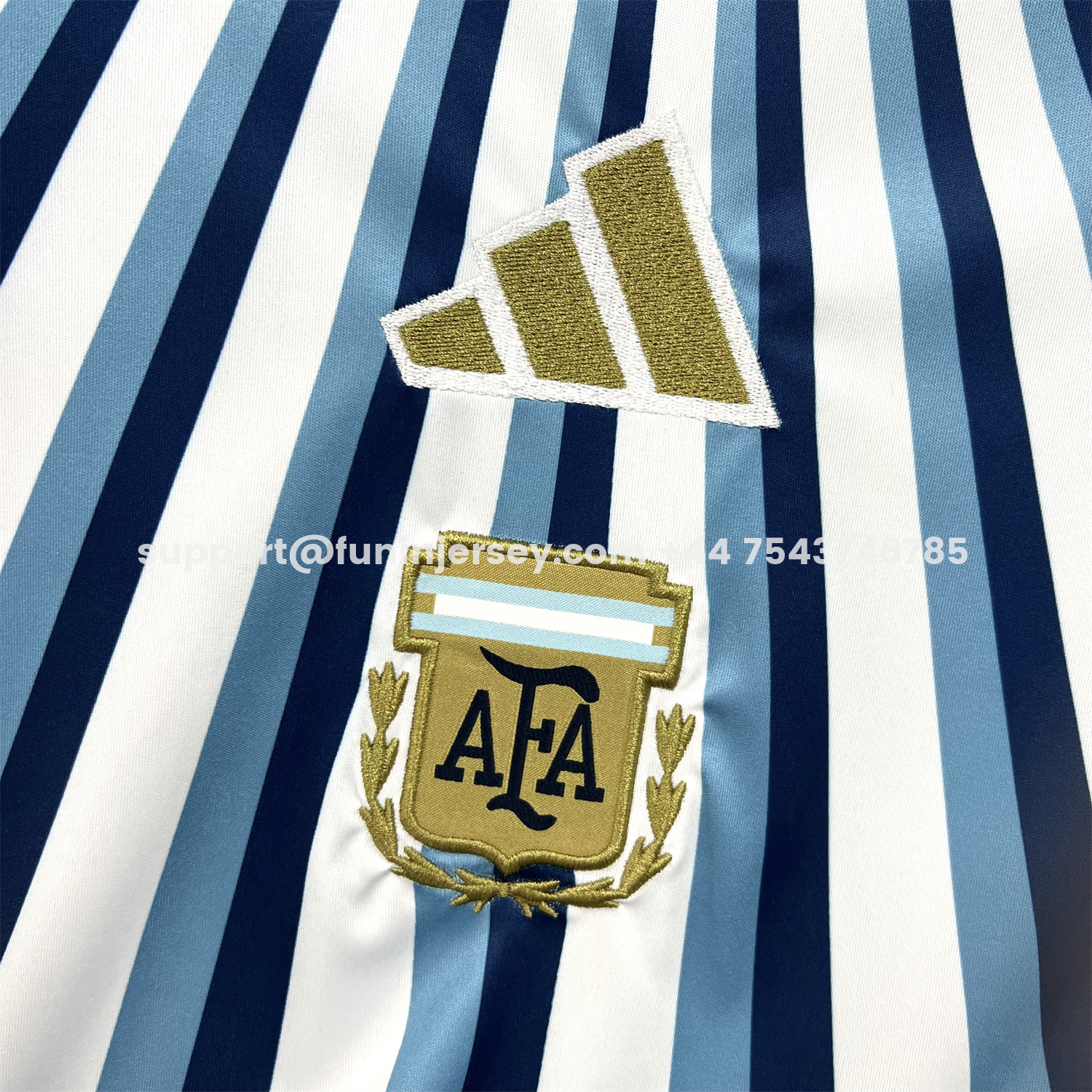 Funinjersey-Argentina 2026 Blue Rays Pre-Match Training Kit - Fans Version