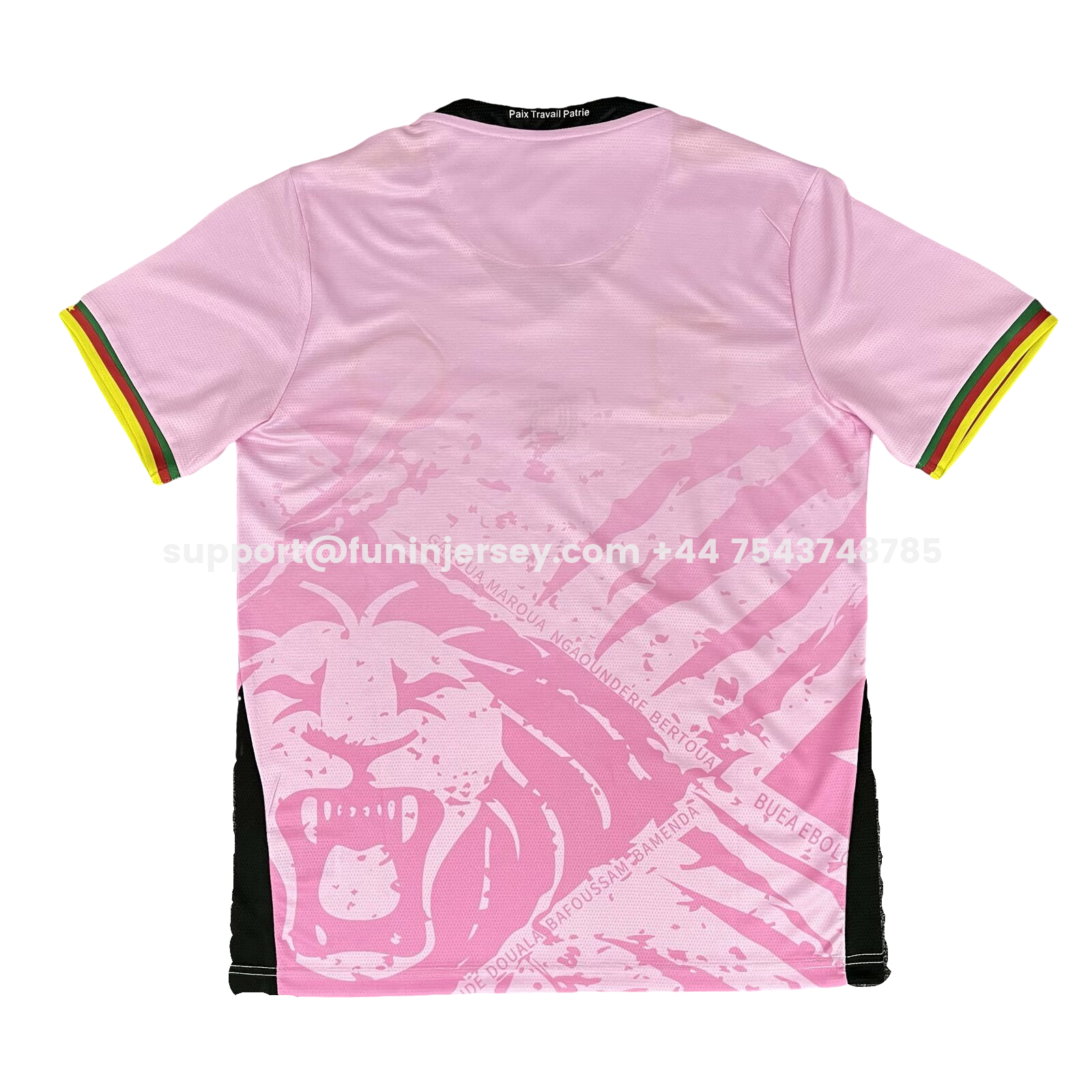 Funinjersey-Cameroon 25-26 Pink Training Jersey - Fans Version
