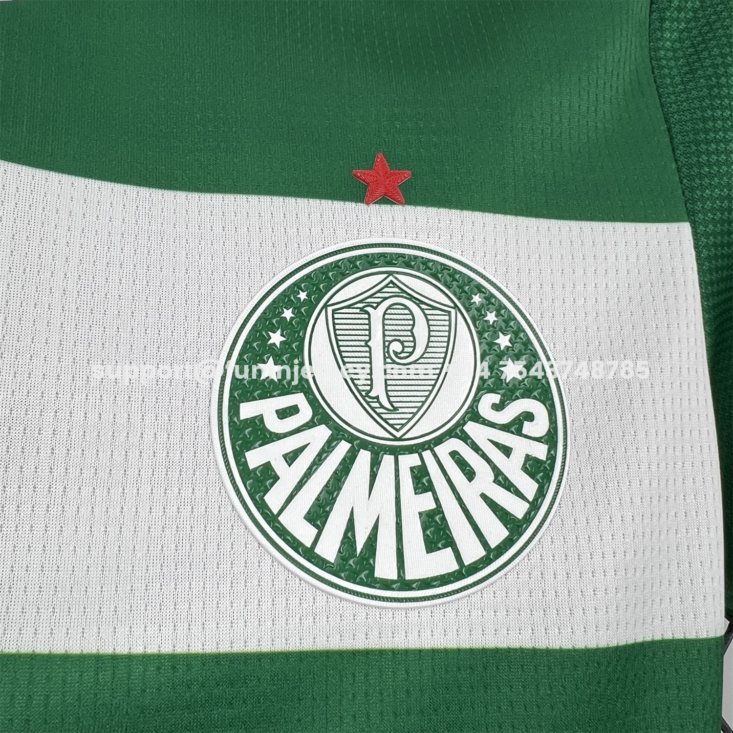Funinjersey-Women's Palmeiras 25-26 Avanti Commemorative Jersey