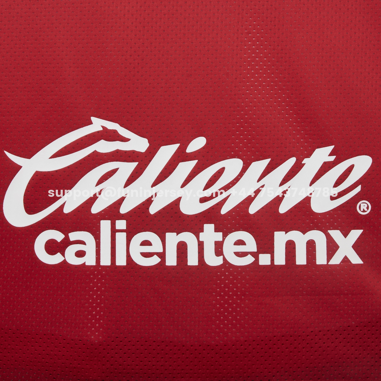 Funinjersey-Toluca 25-26 Red Special Jersey - Fans Version