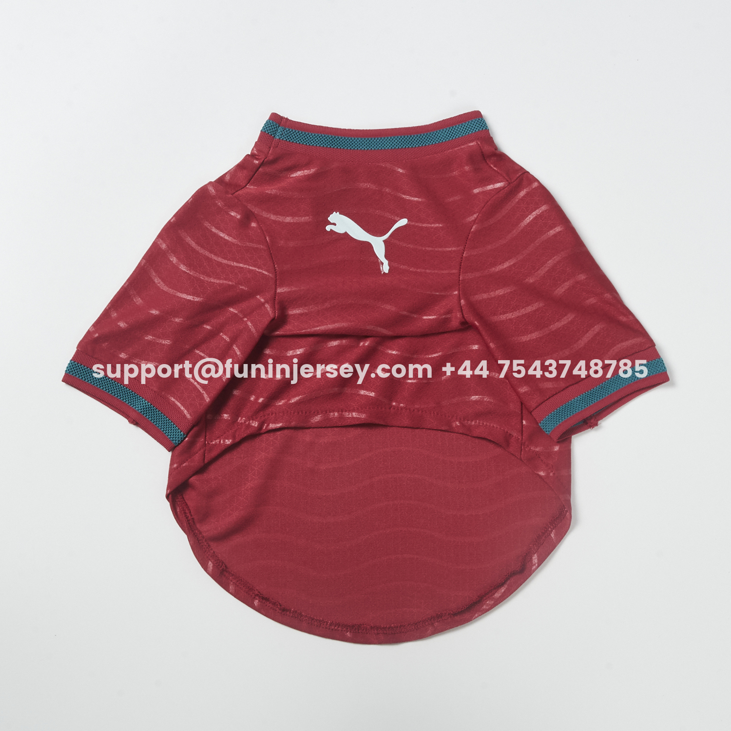 Funinjersey-Portugal 2026 Home Pet Jersey - Player Version