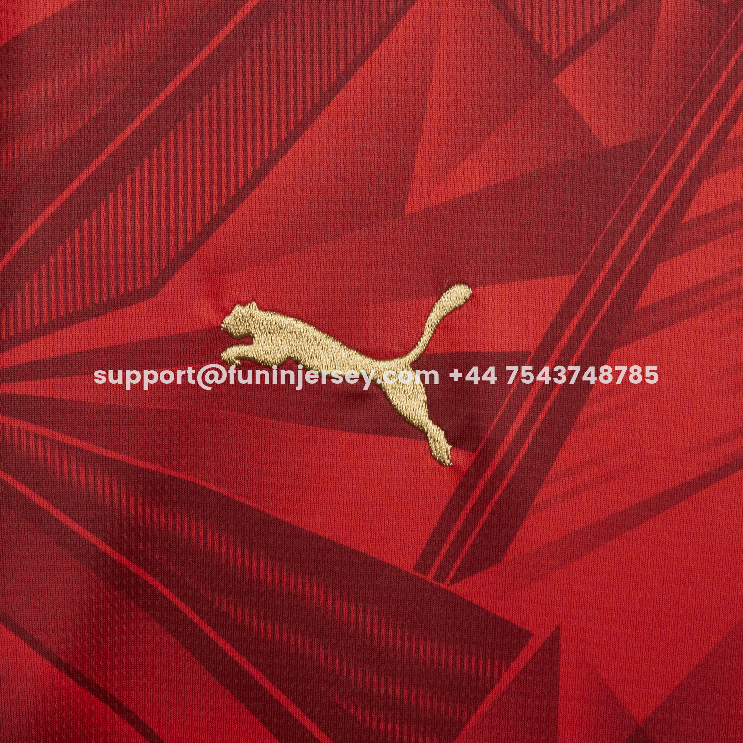 Funinjersey-Egypt 2026 Home Jersey - Fans Version