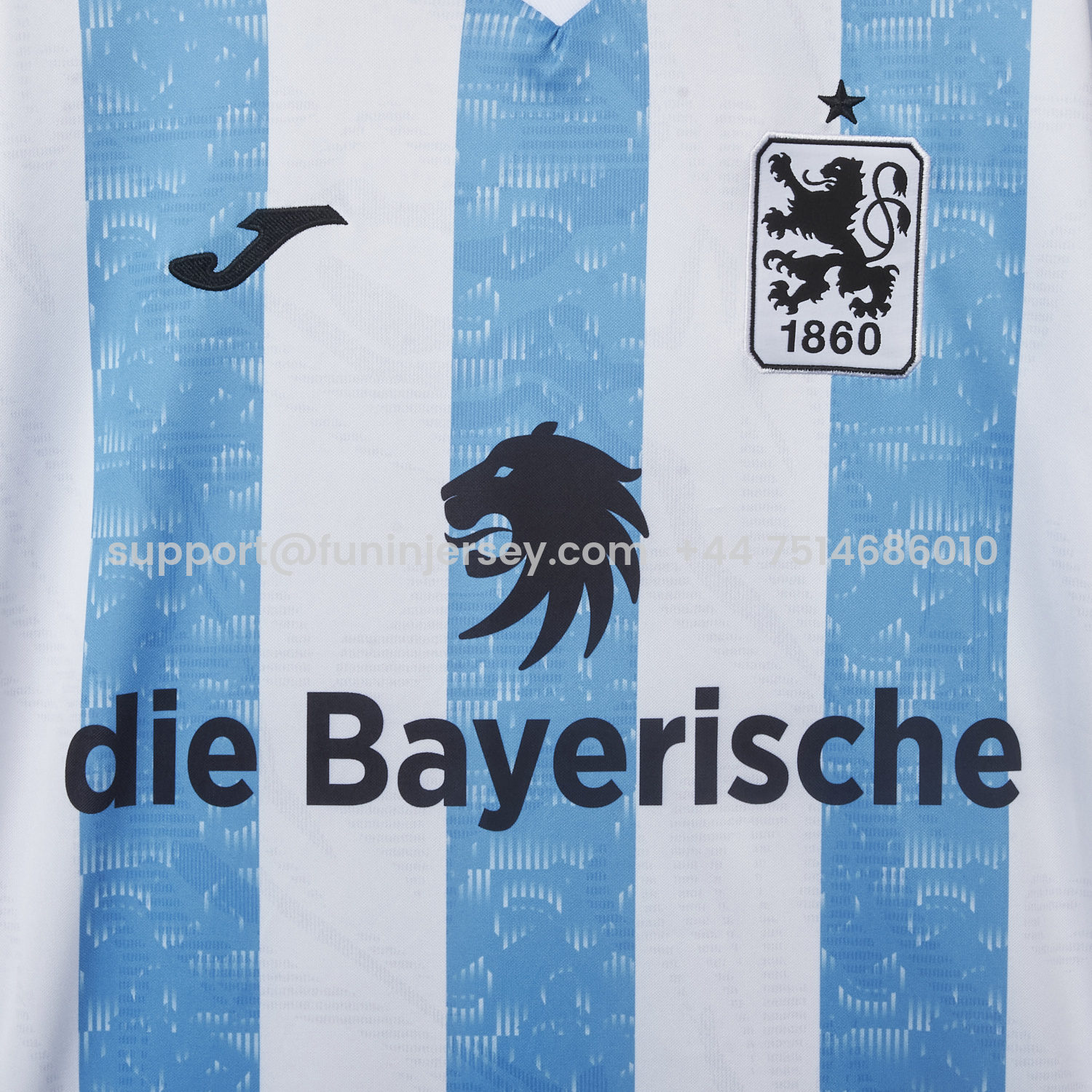 Funinjersey-TSV 1860 München Munich 25-26 Blue And White Stripes Home Jersey - Fans Version