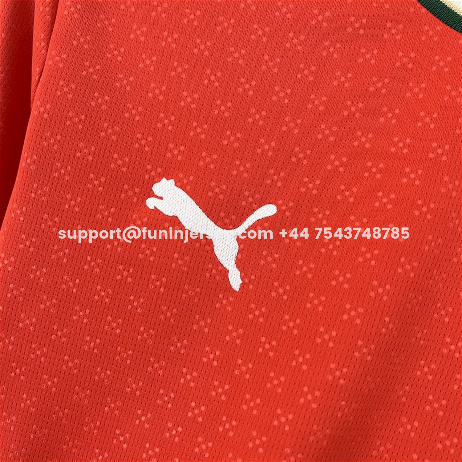 Funinjersey-Portugal 2025-26 Home Long Sleeve Jersey - Fans Version