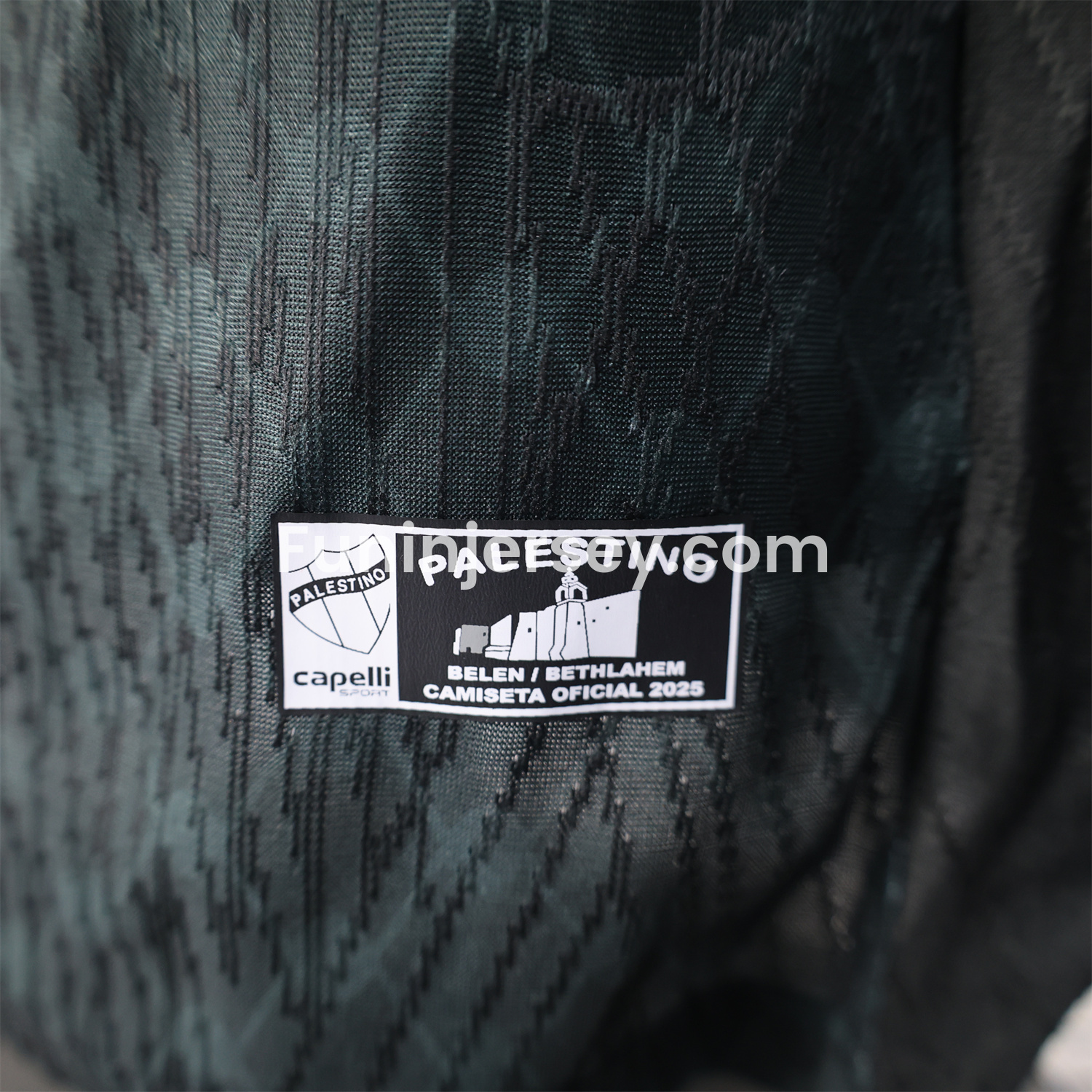 Funinjersey-Club Deportivo Palestino 25-26 Away Jersey - Player Version