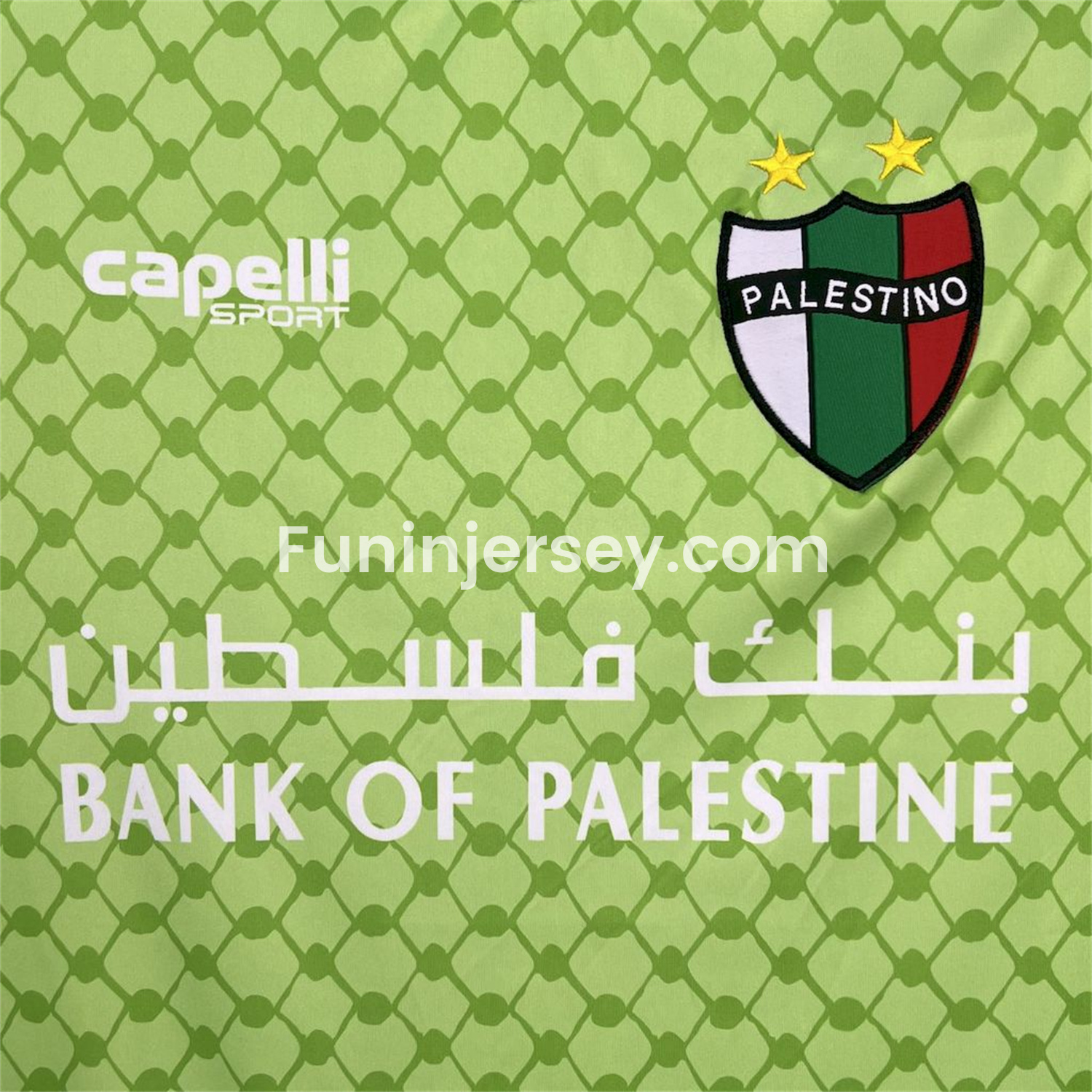 Funinjersey-Club Deportivo Palestino 25-26 Green Goalkeeper Jersey - Fans Version