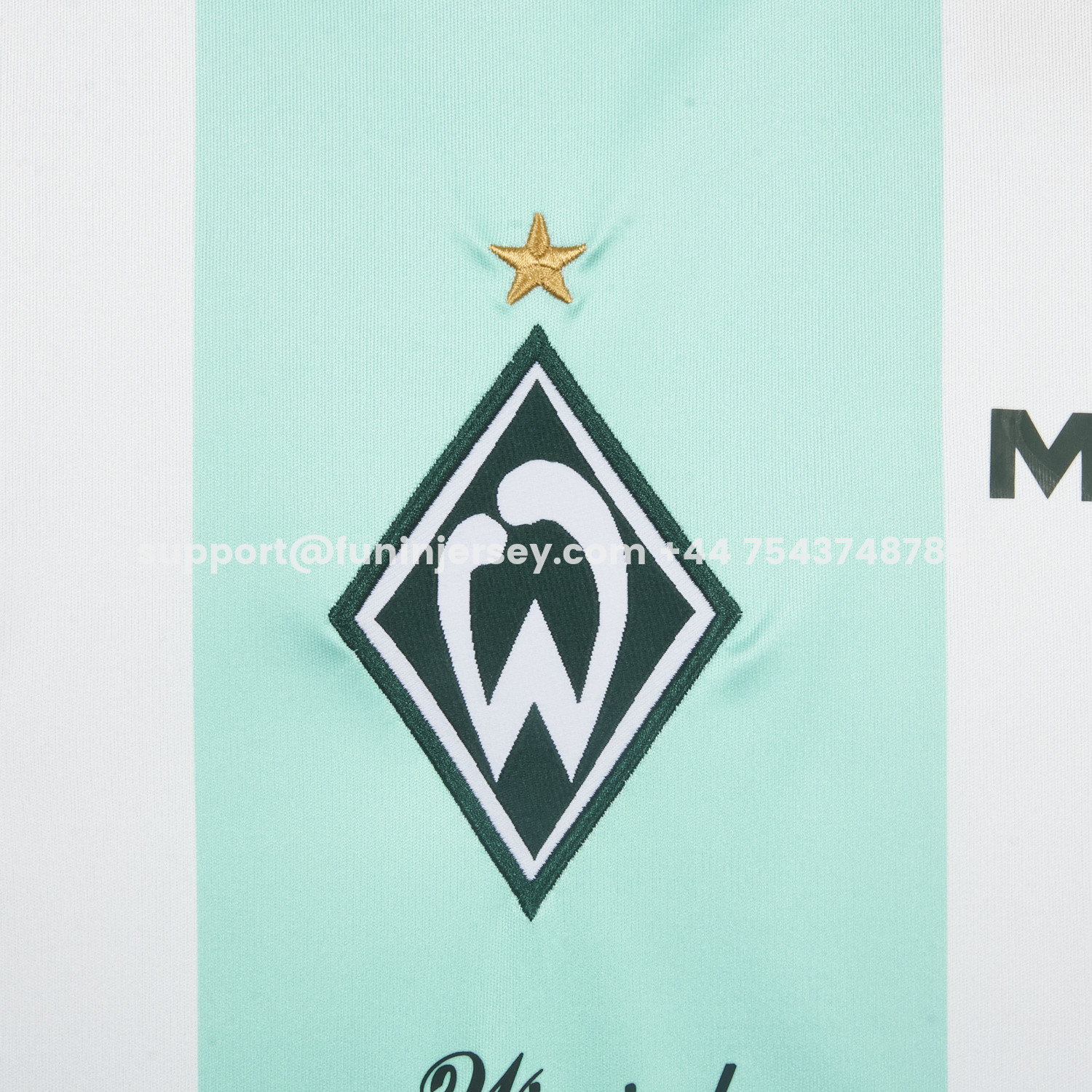 Funinjersey-Werder Bremen 25-26 Green And White Special Jersey - Fans Version
