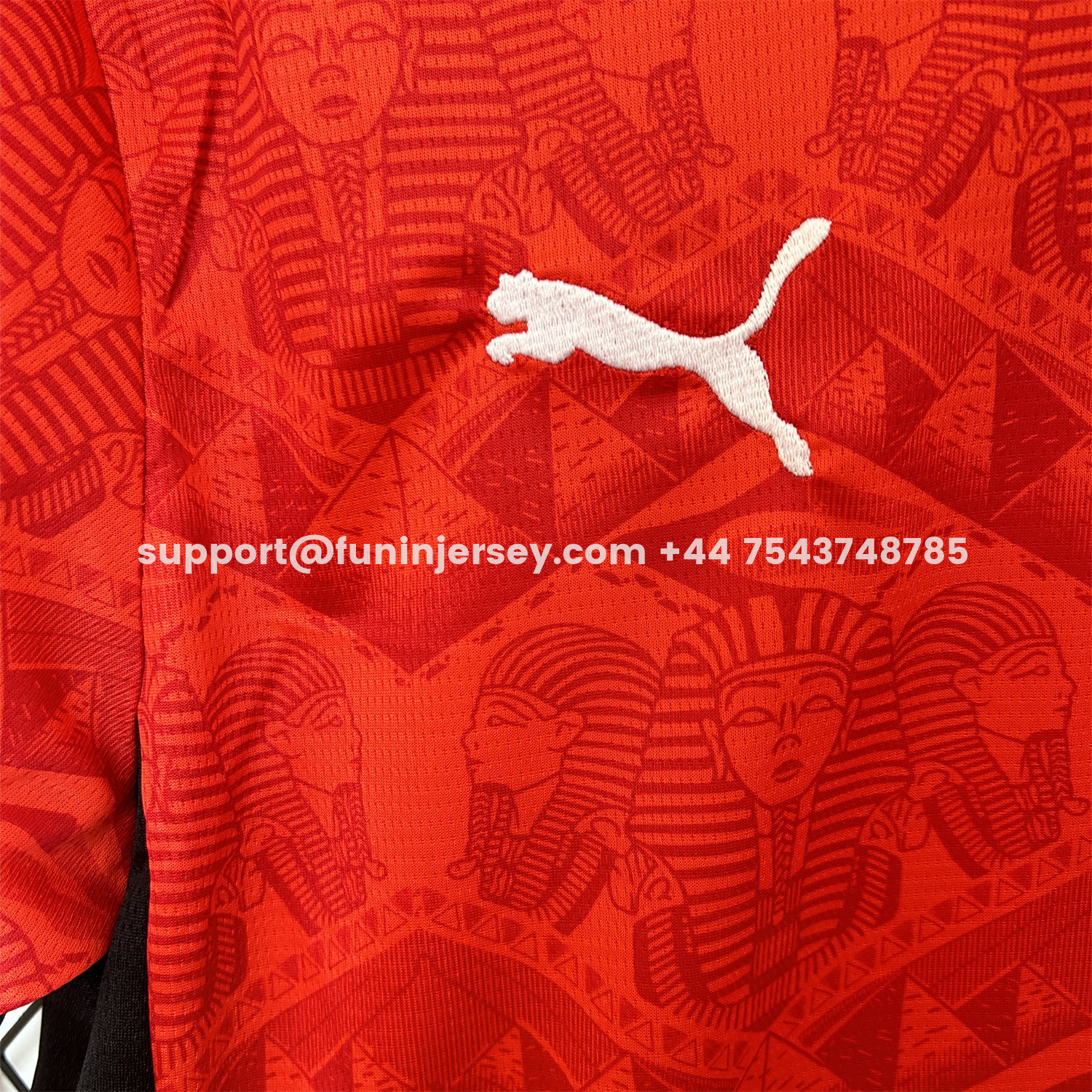 Funinjersey-Egypt 25-26 Home Jersey - Fans Version