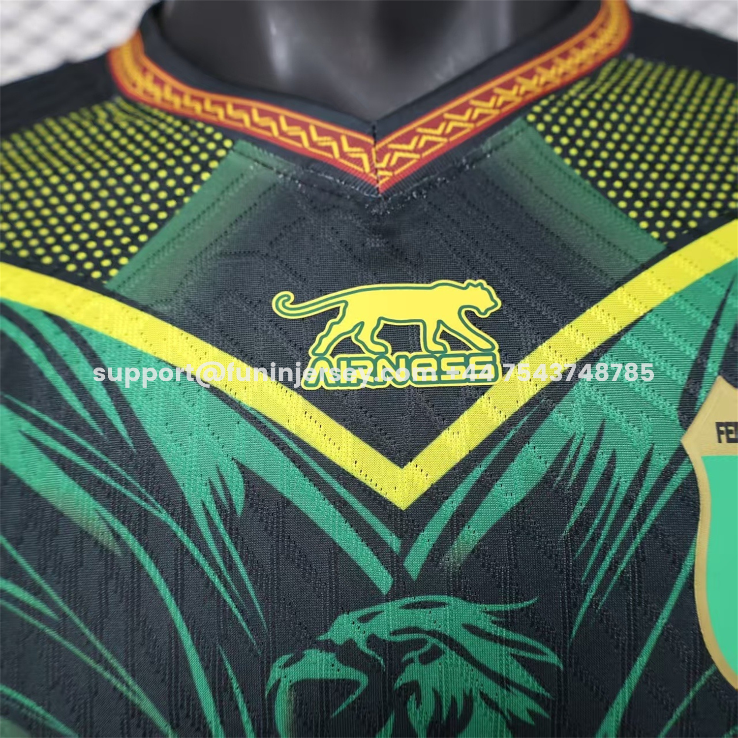 Funinjersey-Mali 2026 Eagle Black Green Jersey - Player Version