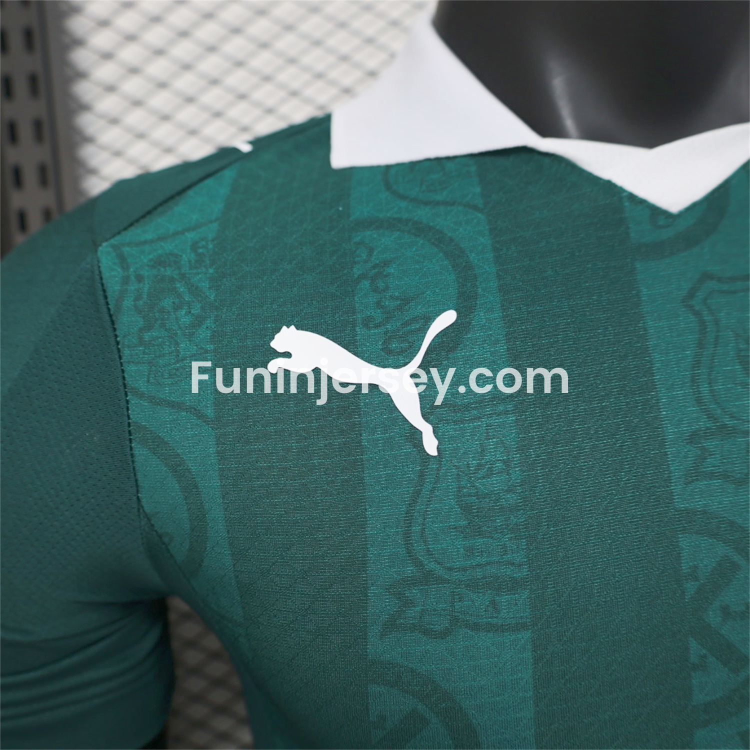 Funinjersey-Plymouth Argyle 25-26 Home Unsponsored Jersey - Player Version