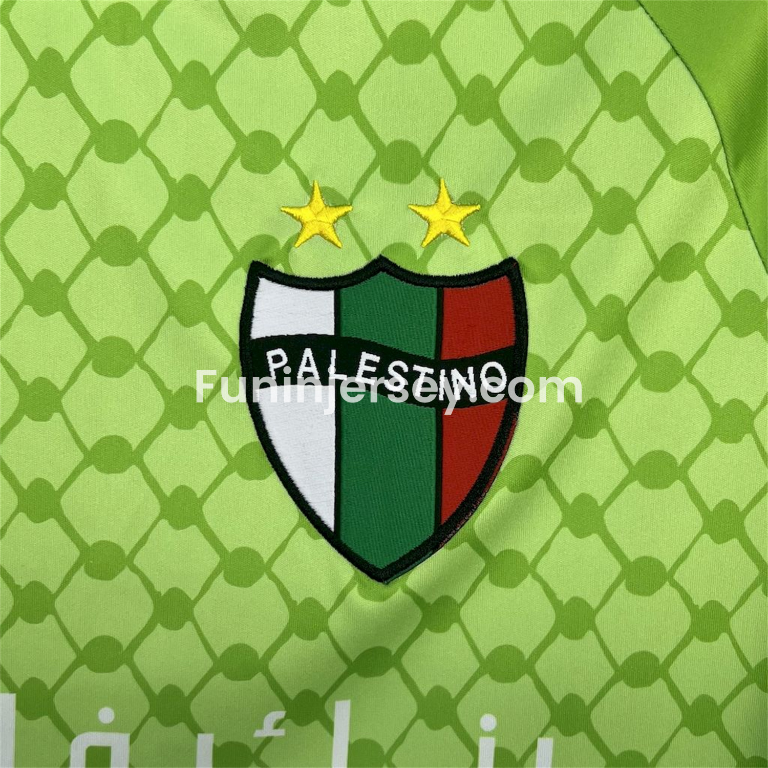 Funinjersey-Club Deportivo Palestino 25-26 Green Goalkeeper Jersey - Fans Version