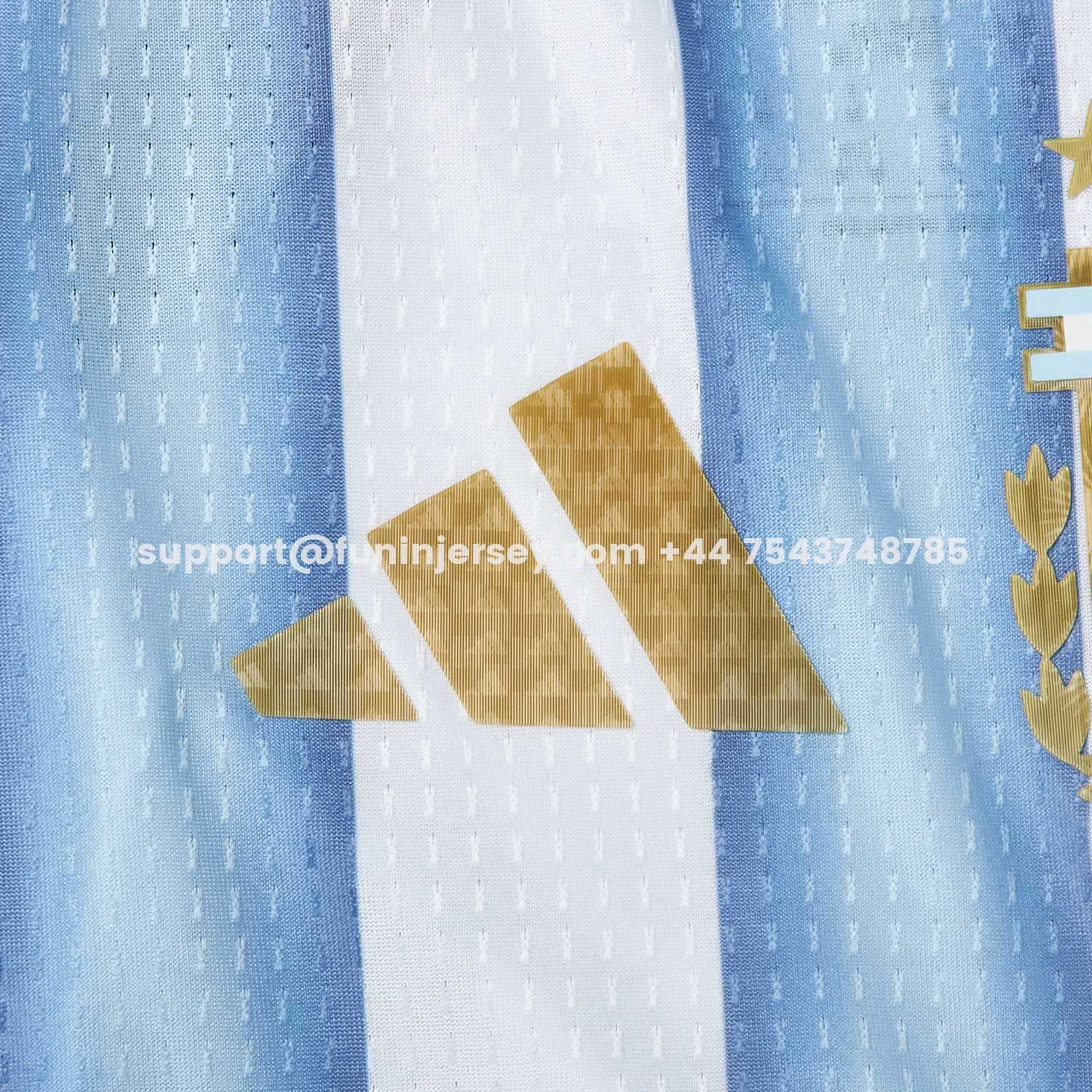 Funinjersey-Argentina 2026 Home Pet Jersey - Player Version