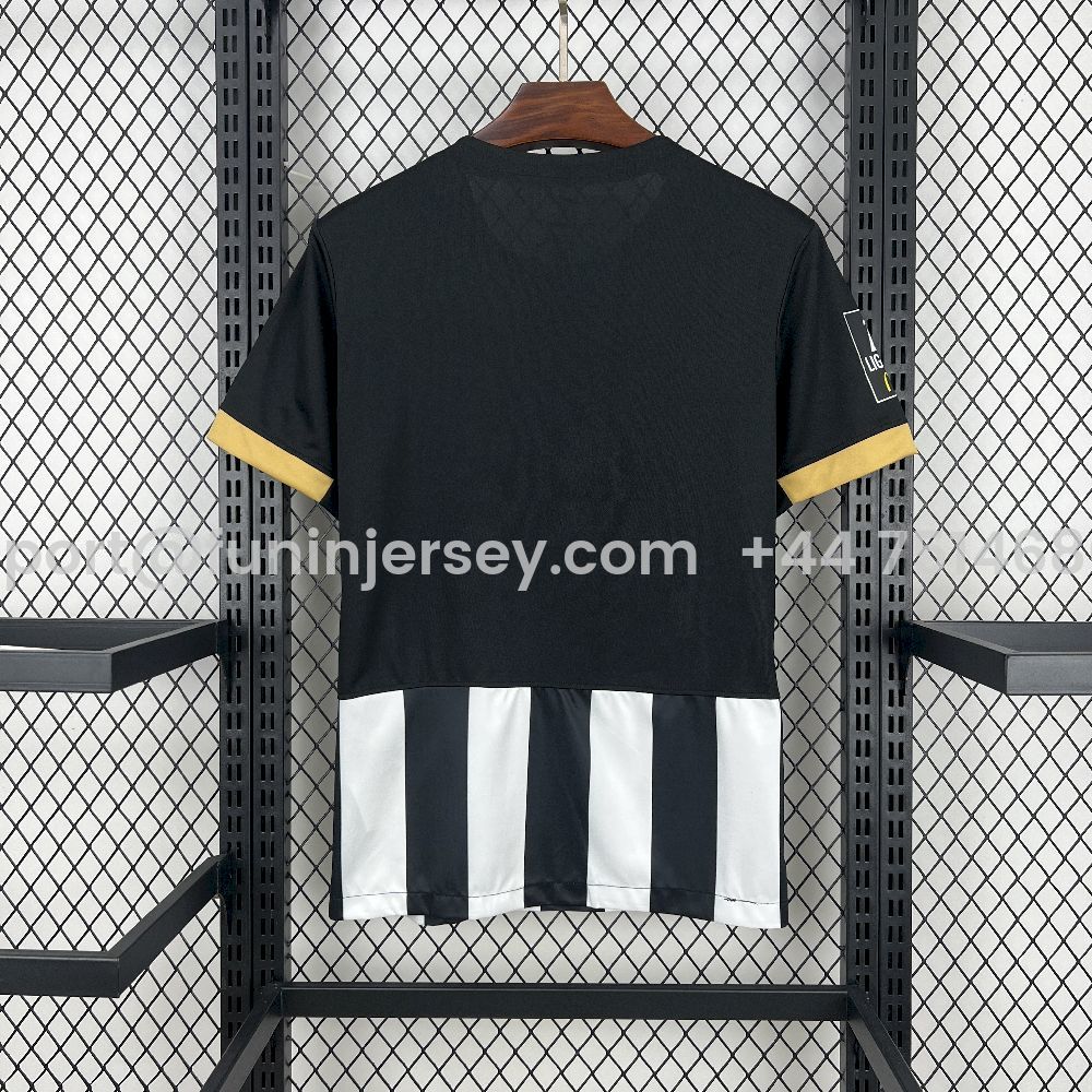 Funinjersey-Angers 25-26 Home Jersey - Fans Version
