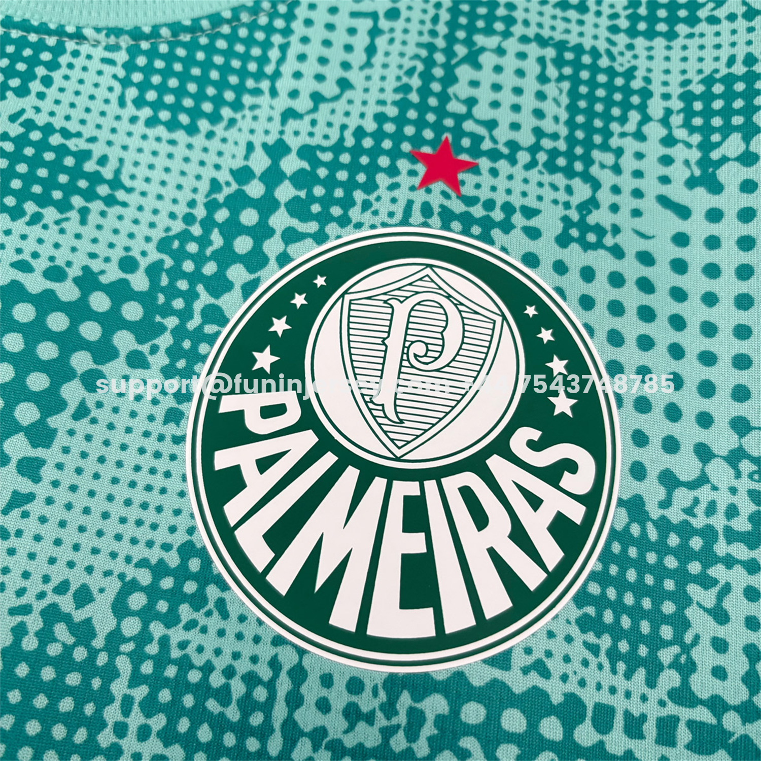Funinjersey-Palmeiras 26-27 Mint Green Training Jersey - Fans Version