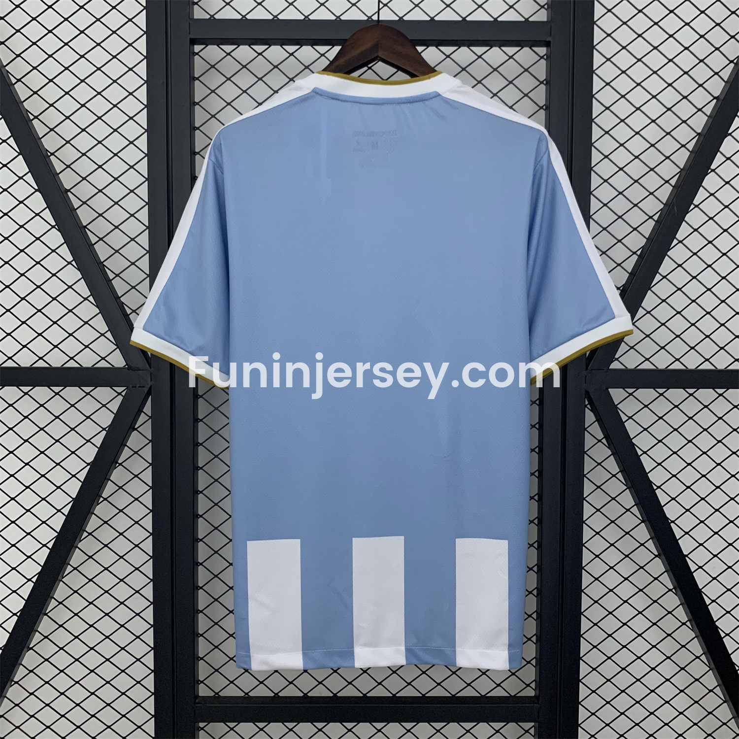 Funinjersey-Paysandu 25-26 Home Jersey - Fans Version