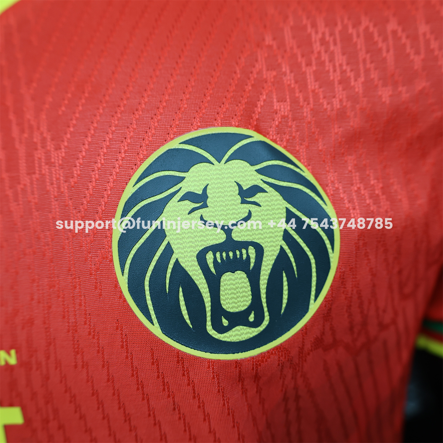 Funinjersey-Cameroon 25-26 Away Jersey - Player Version