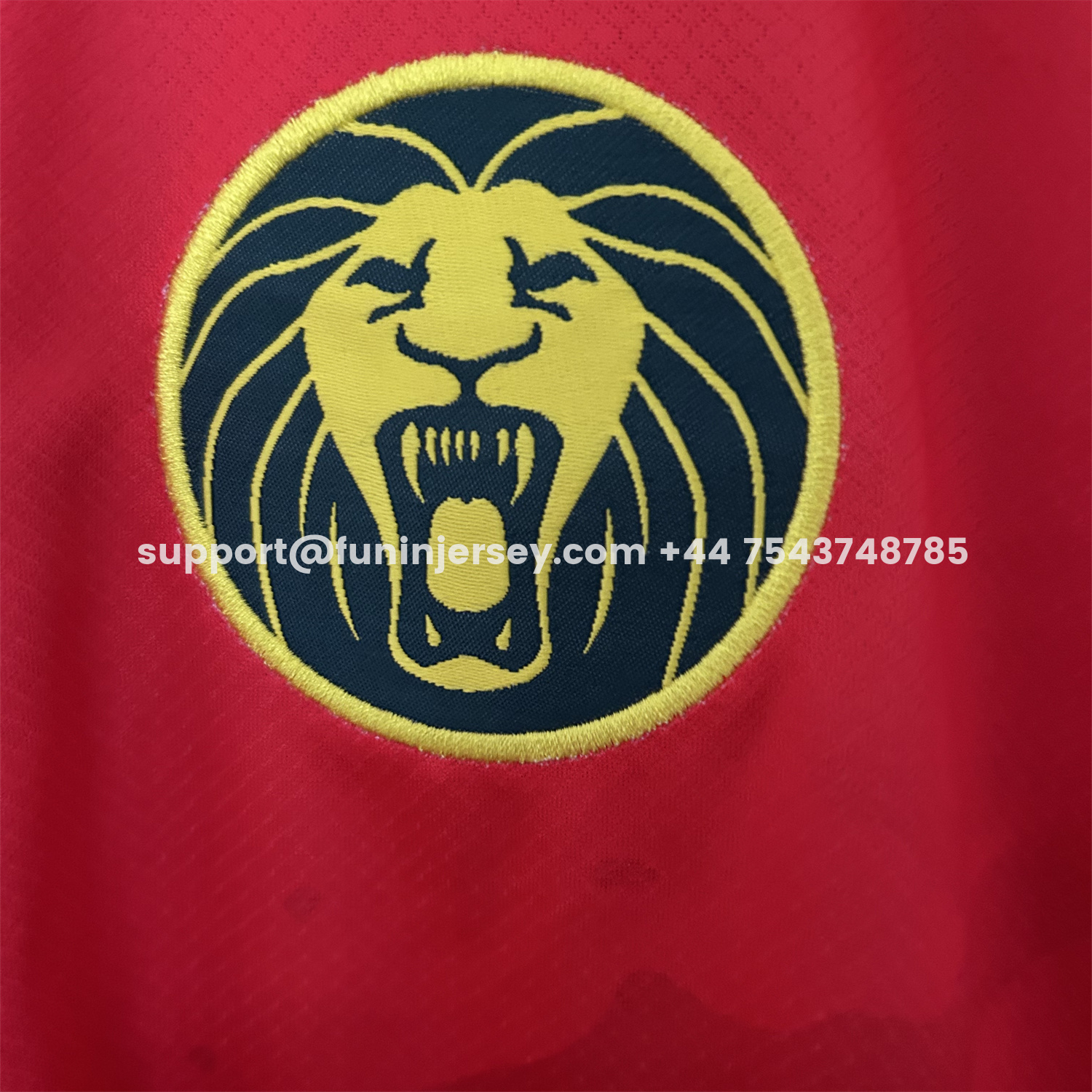 Funinjersey-Cameroon 25-26 Away Jersey - Fans Version