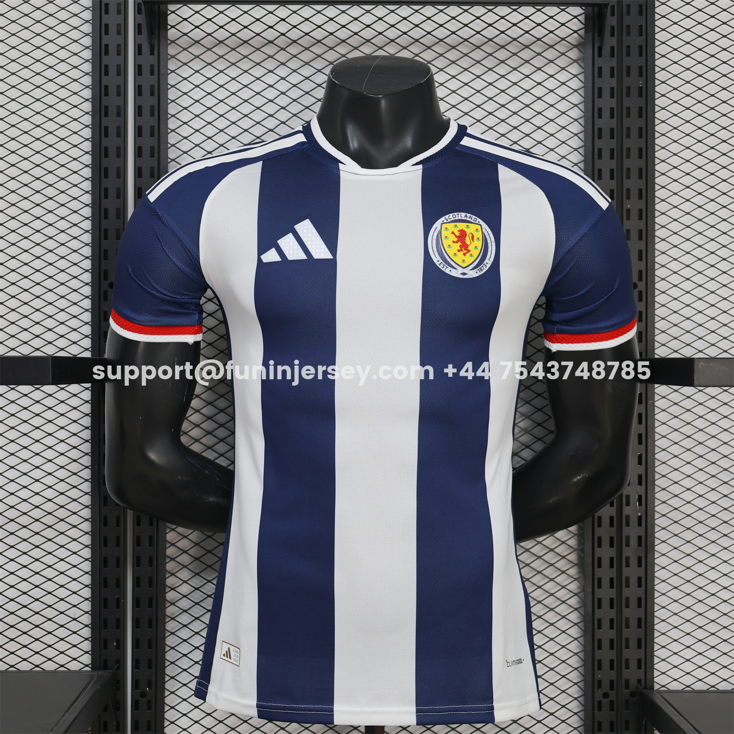 Funinjersey-Wales 2026 Blue And White Special Jersey - Player Version