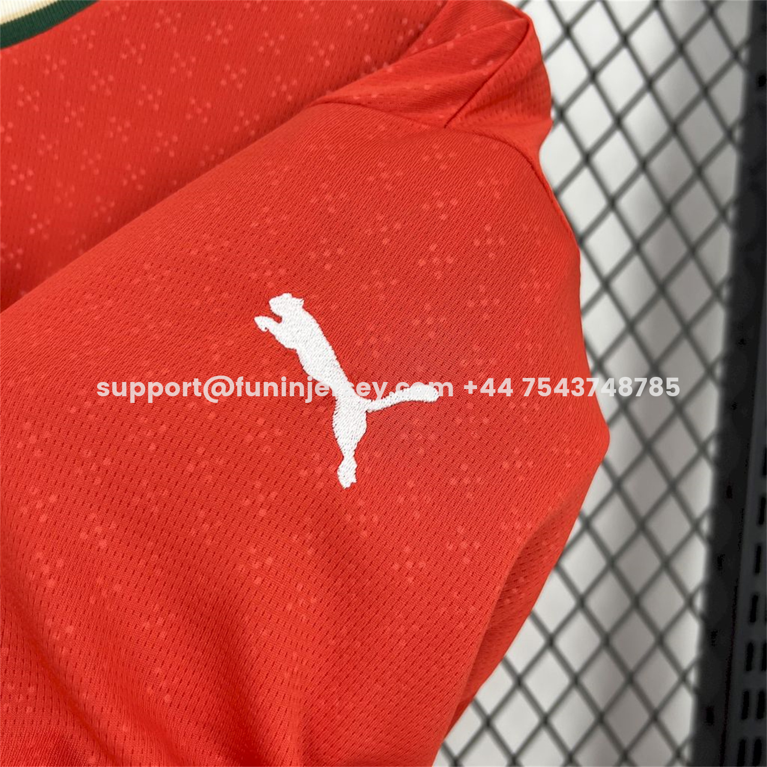 Funinjersey-Portugal 2025-26 Home Long Sleeve Jersey - Fans Version