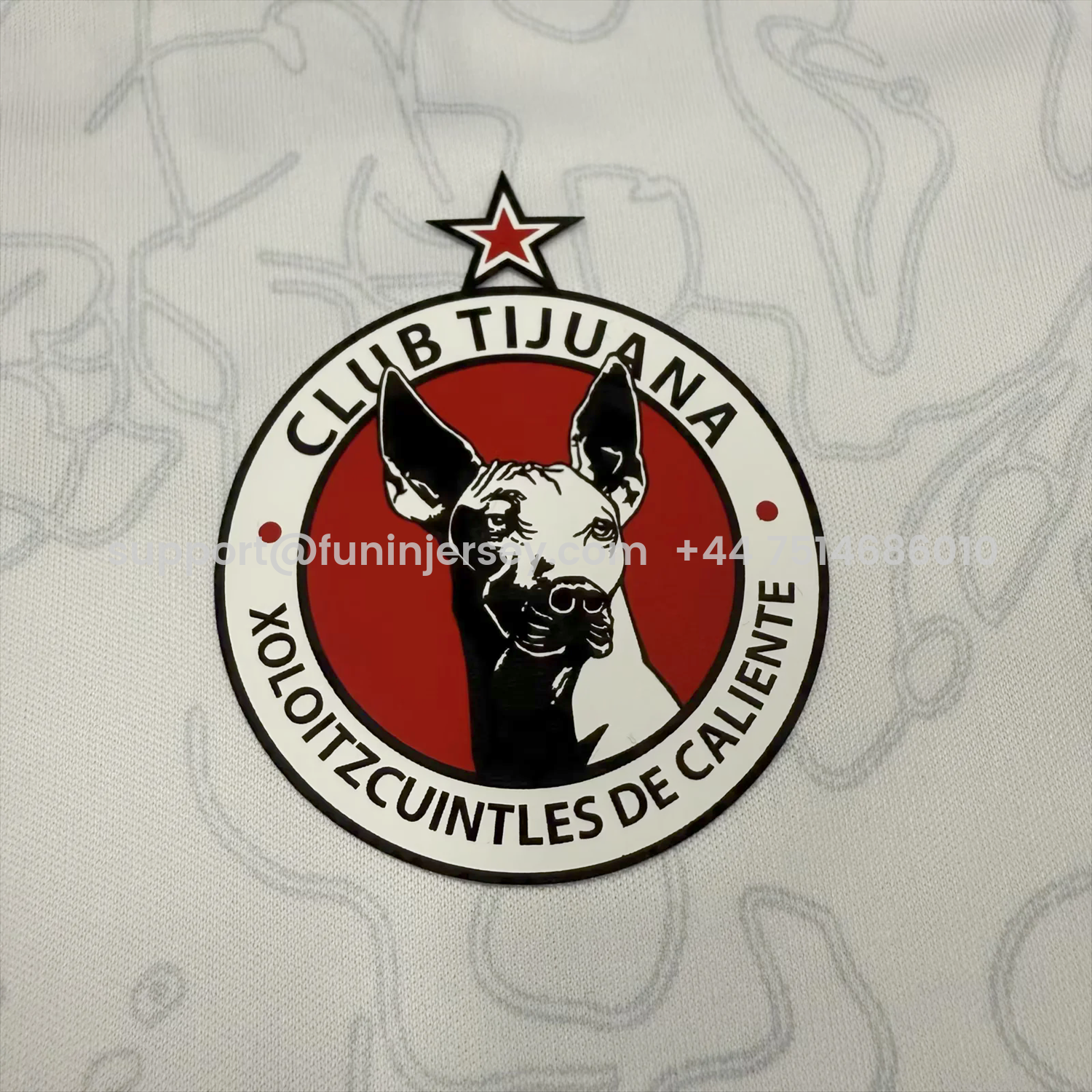 Funinjersey-Tijuana 25-26 Away Kids Kit