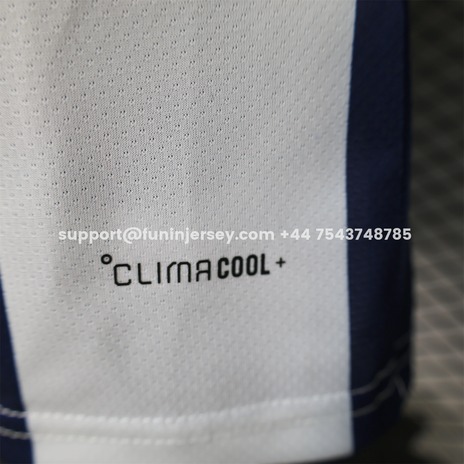 Funinjersey-Wales 2026 Blue And White Special Jersey - Player Version