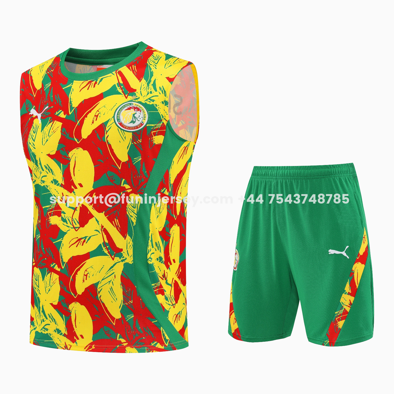 Funinjersey-Senegal 2026 Vest Training Set - Variegated Vest and Green Shorts