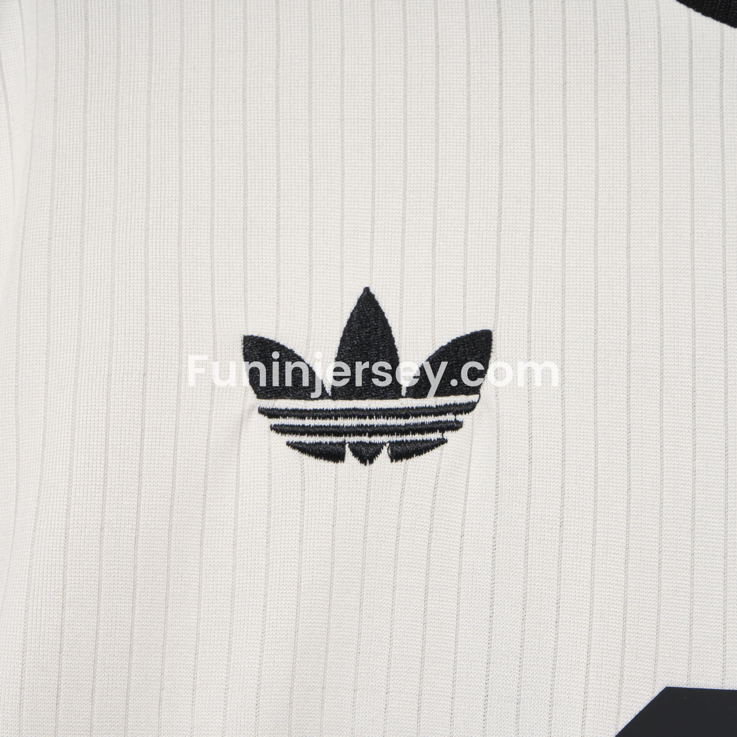 Funinjersey-Germany 2025 125-Year Anniversary Commemorative Edition Jersey - Fans Version