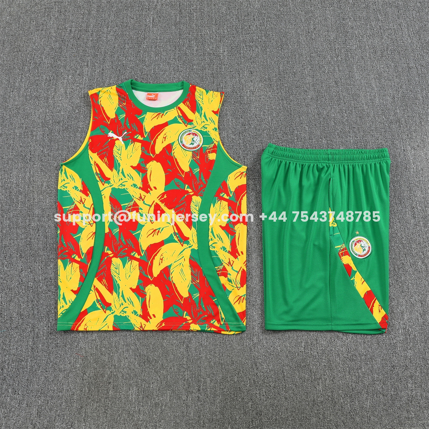 Funinjersey-Senegal 2026 Vest Training Set - Variegated Vest and Green Shorts