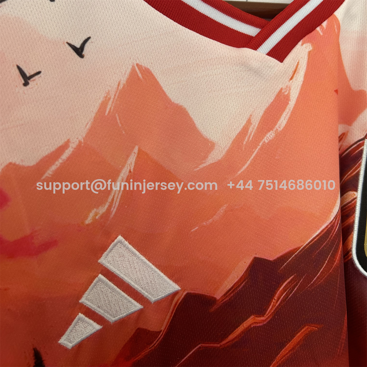 Funinjersey-Japan 25-26 Red Mountains & River & Tower Special Jersey - Fans Version