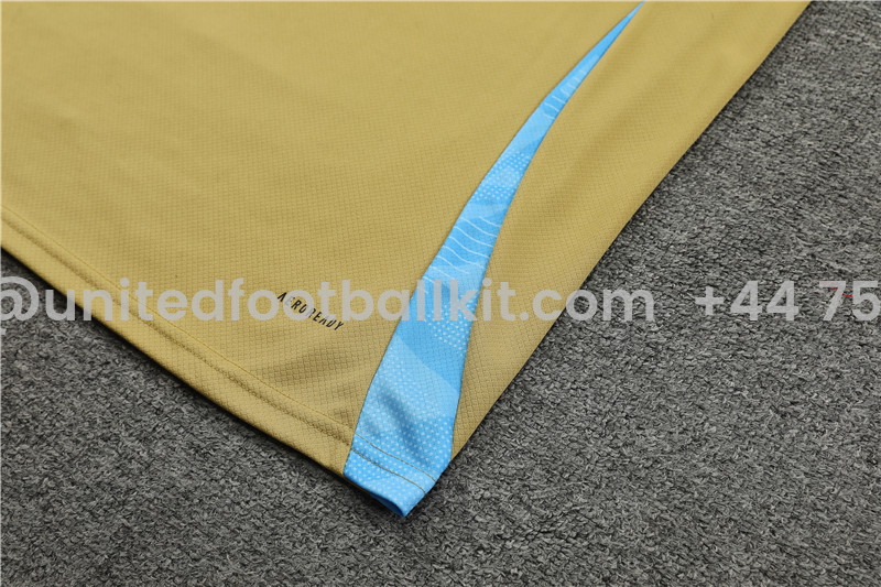 Unitedfootballkit.com | Argentina 2024 Short-Sleeve Training Set - Gold -Customize Name, Number and Patch | Worldwide Shipping