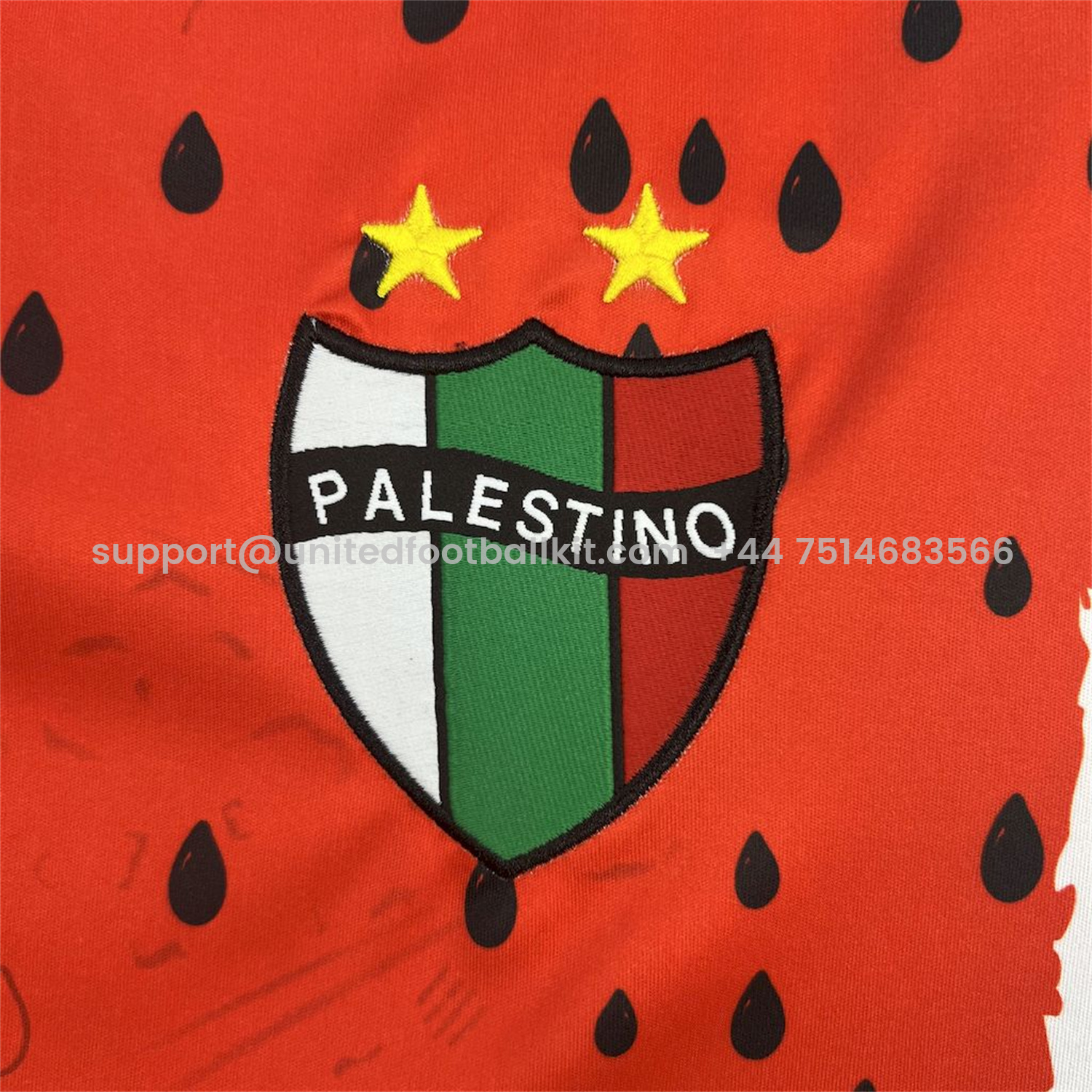 Unitedfootballkit.com | Club Deportivo Palestino 25-26 Third Jersey - Fans Version -Customize Name, Number and Patch | Worldwide Shipping
