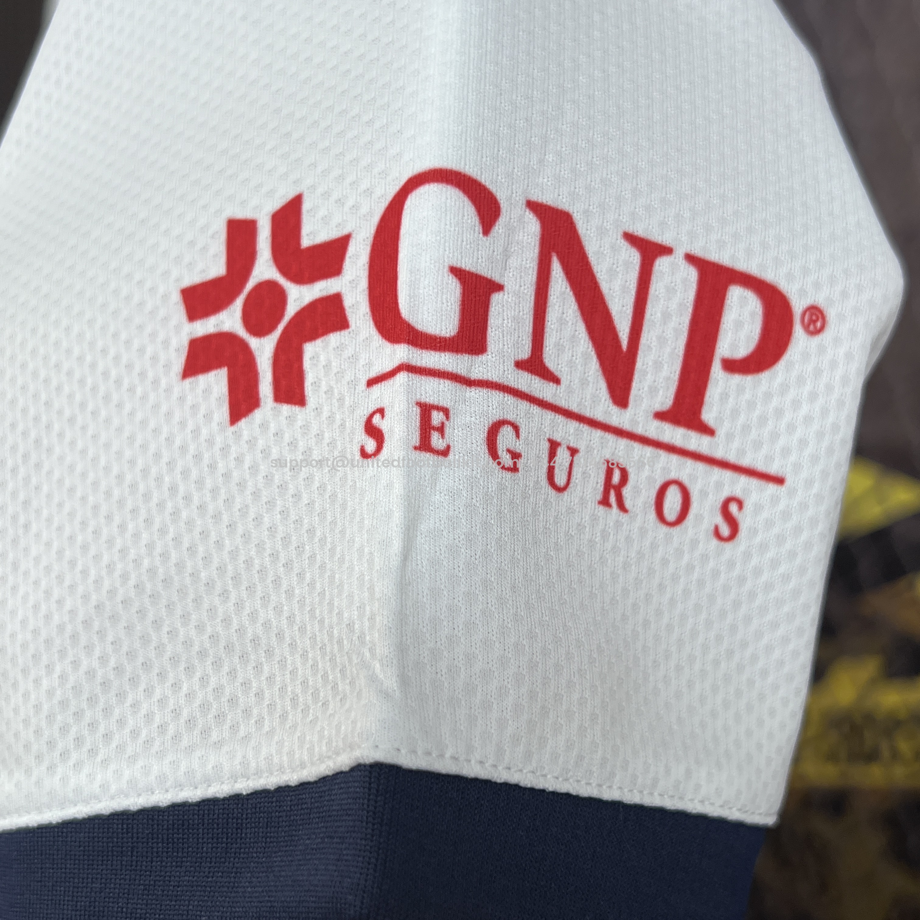 Unitedfootballkit.com | Chivas de Guadalajara 24-25 Away Jersey - Fans Version -Customize Name, Number and Patch | Worldwide Shipping