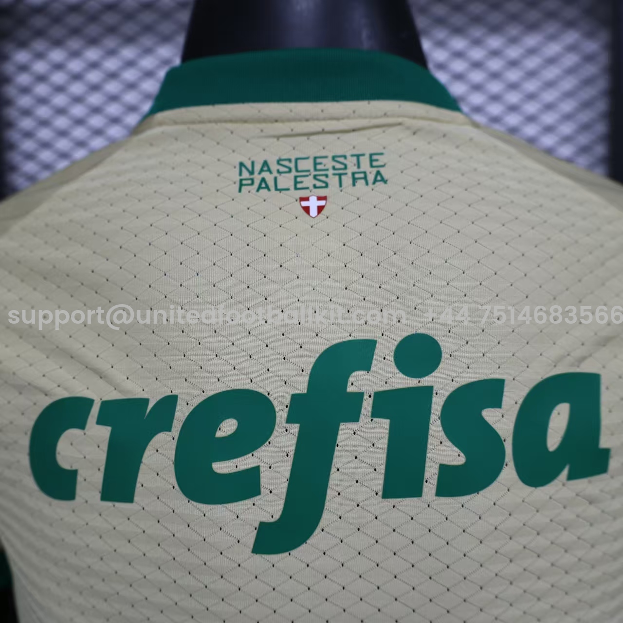 Unitedfootballkit.com | Palmeiras 2024 110-Year Anniversary Jersey - Player Version -Customize Name, Number and Patch | Worldwide Shipping