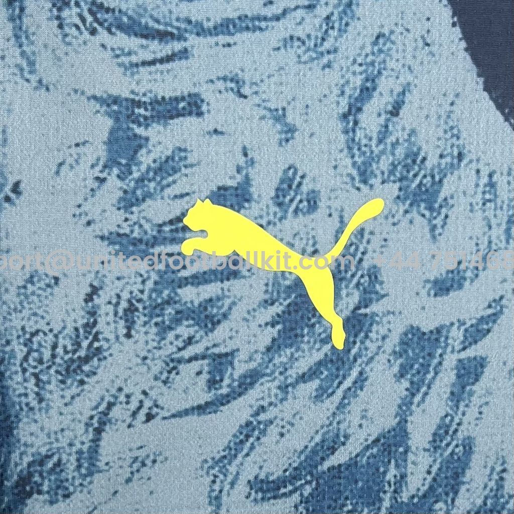 Unitedfootballkit.com | Fenerbahce 24-25 Fourth Jersey - Fans Version -Customize Name, Number and Patch | Worldwide Shipping