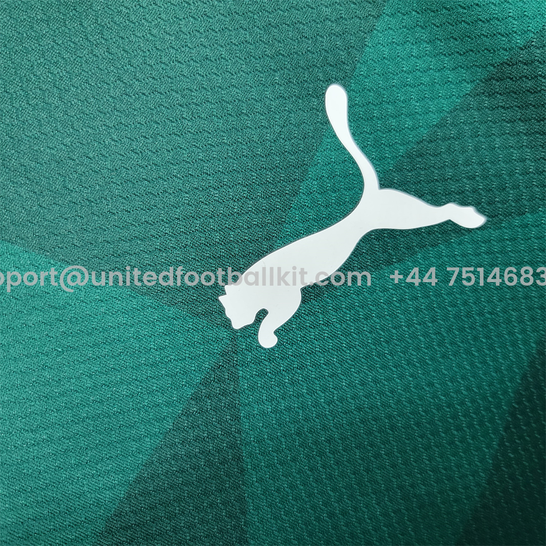 Unitedfootballkit.com | Palmeiras 2023 Home Stadium Jersey - Fans Version -Customize Name, Number and Patch | Worldwide Shipping