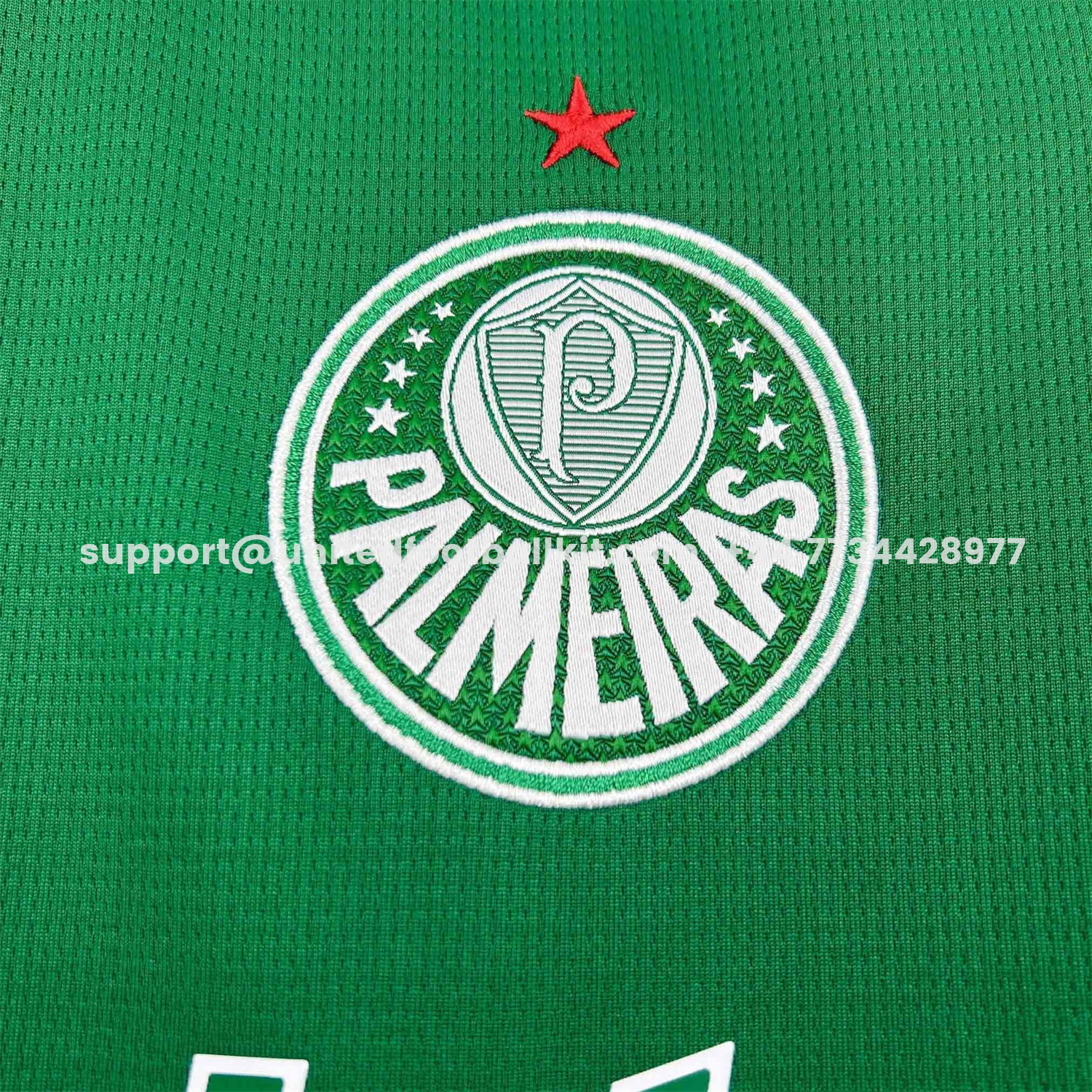Unitedfootballkit.com | Women's Palmeiras 25-26 Home Jersey -Customize Name, Number and Patch | Worldwide Shipping