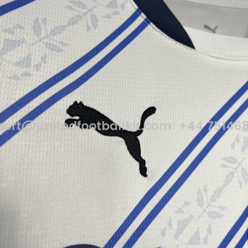 Unitedfootballkit.com | Fenerbahce 24-25 Away Jersey - Fans Version -Customize Name, Number and Patch | Worldwide Shipping