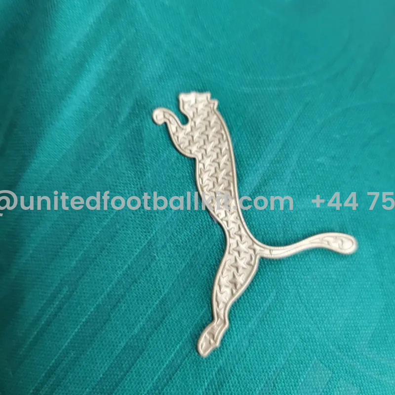 Unitedfootballkit.com | Palmeiras 2024 Home Stadium Jersey - Player Version -Customize Name, Number and Patch | Worldwide Shipping