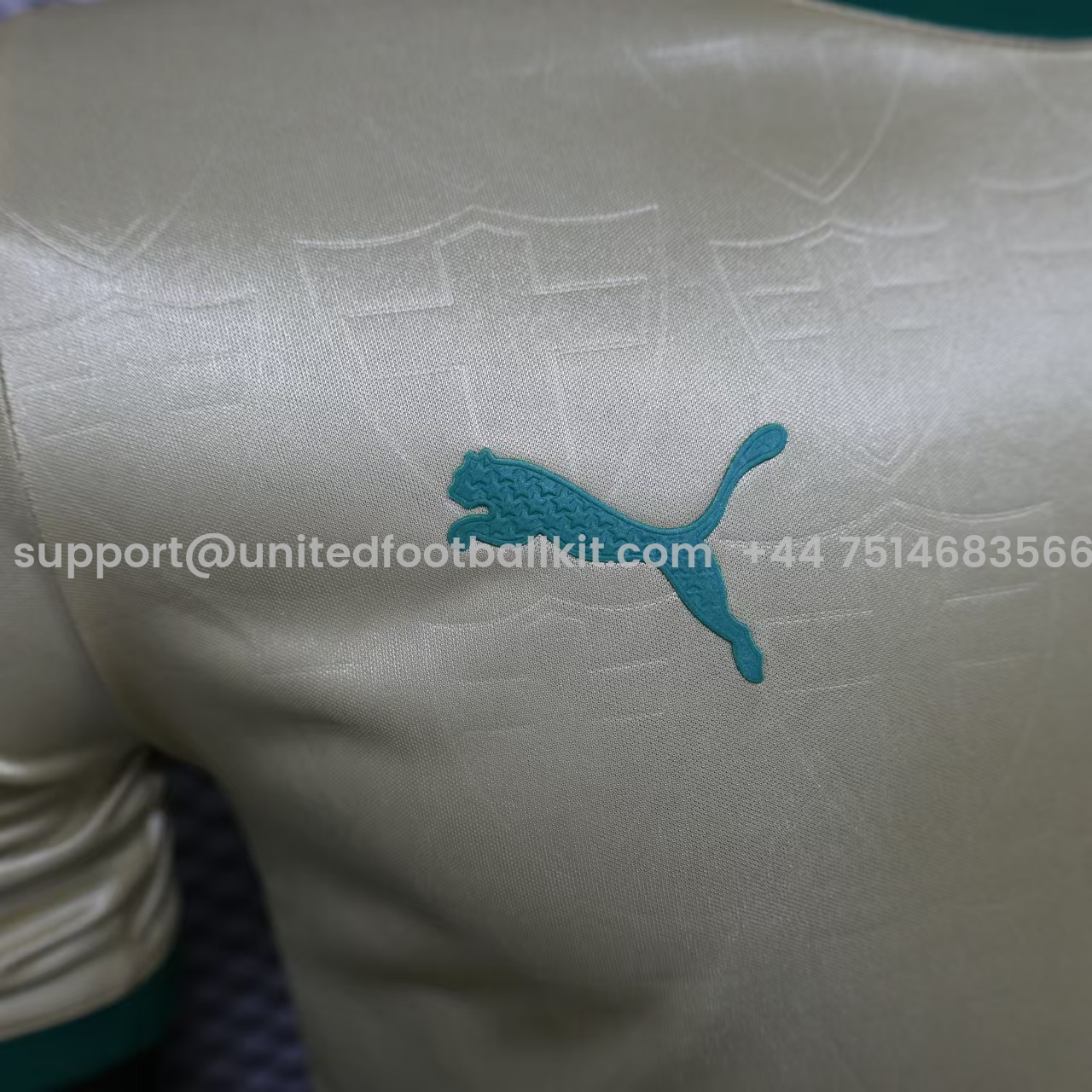 Unitedfootballkit.com | Palmeiras 2024 110-Year Anniversary Jersey - Player Version -Customize Name, Number and Patch | Worldwide Shipping